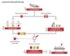 parcours poche de sang