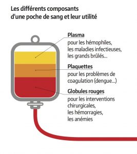 composants de la poche de sang